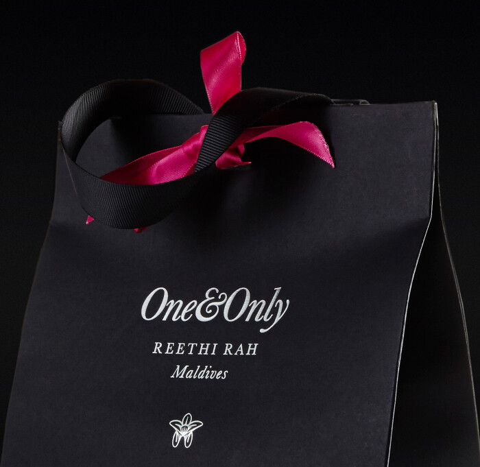 Progress Packaging OneOnly Carrier Bags Luxury Property Closure Ribbon Tied