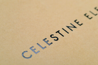 Progress Packaging Celestine Eleven Carrier Bags Luxury Fashion Foiling Detail