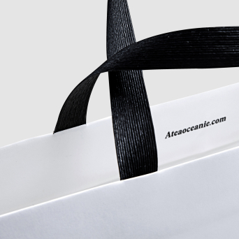 Progress Packaging Atea Carrier Bags Luxury Fashion Paper Ribbon Handles