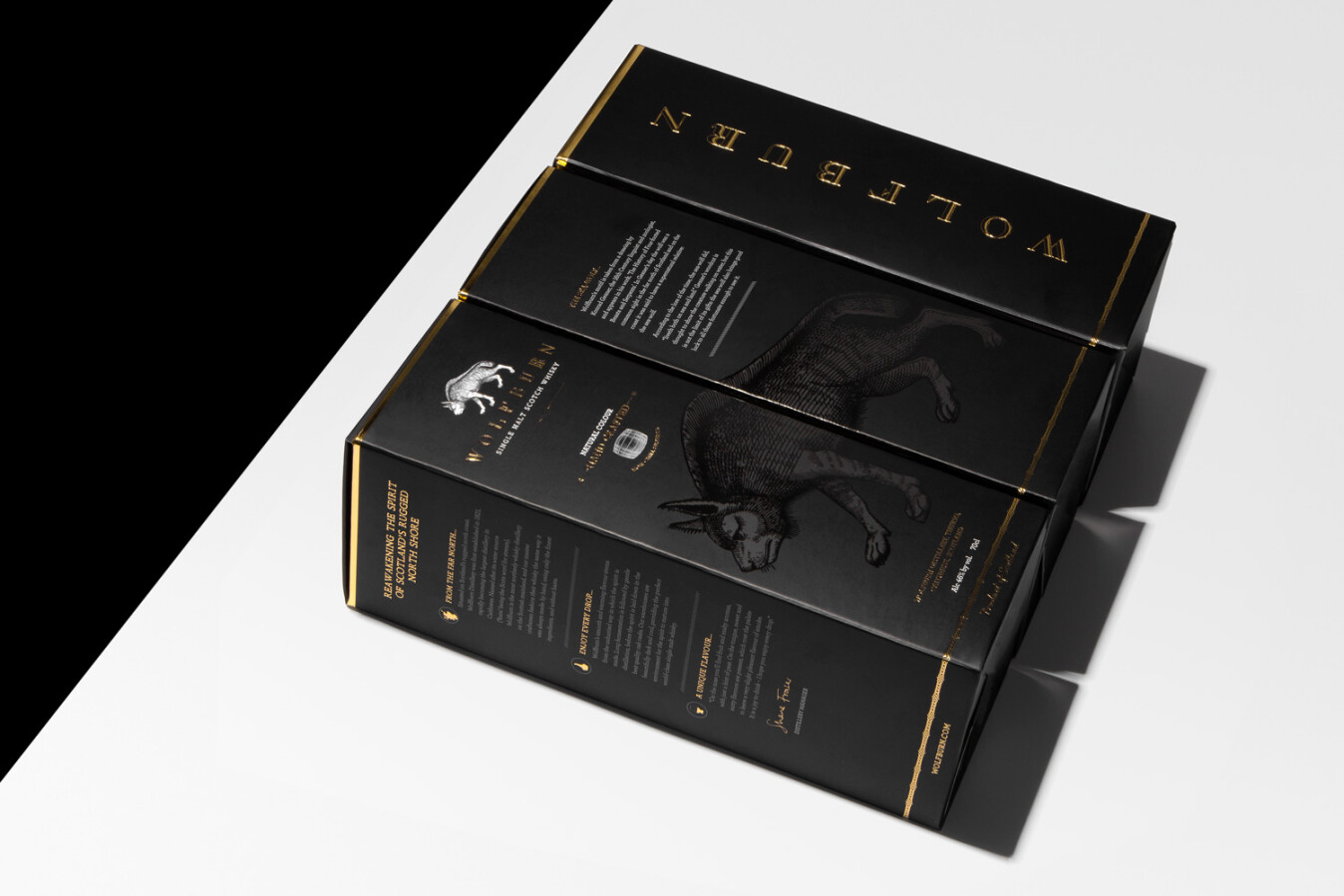Delivering the Vision - Progress Packaging