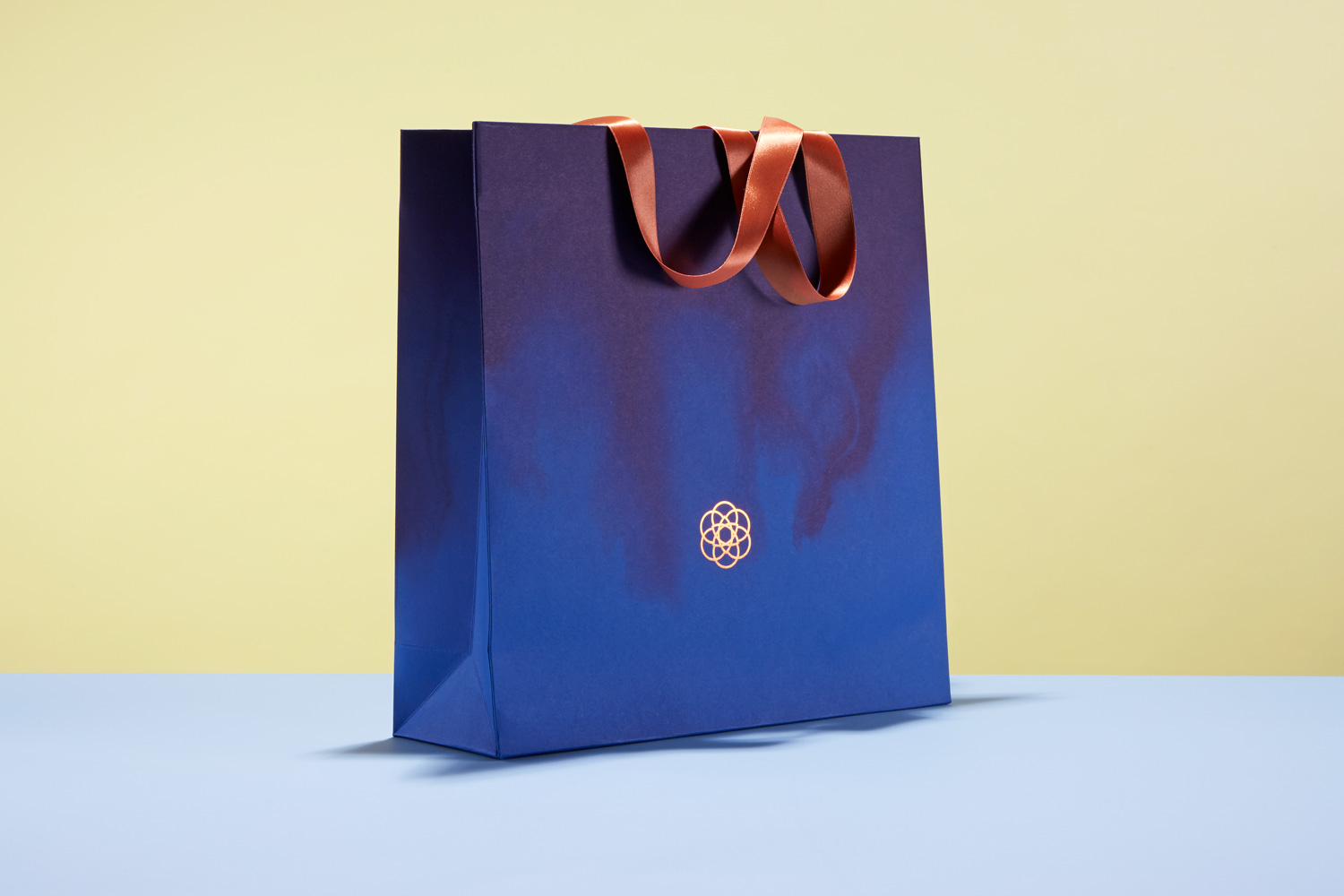 Progress Packaging Luxury Carrier Colorplan Retail Events Bag Ribbon Handled Rose Design