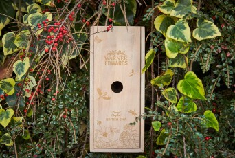 Progress Packaging Wooden Bird Box Insect Hotel Drinks Gin Spirits Liquor Fsc Approved Recycled Biodegradable Reusable Upcycling Responsibly Sourced Eco Friendly Environmentally Friendly 1