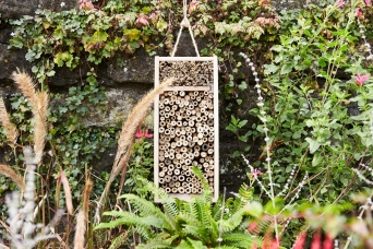 Progress Packaging Wooden Bird Box Insect Hotel Drinks Gin Spirits Liquor Fsc Approved Recycled Biodegradable Reusable Upcycling Responsibly Sourced Eco Friendly Environmentally Friendly 4