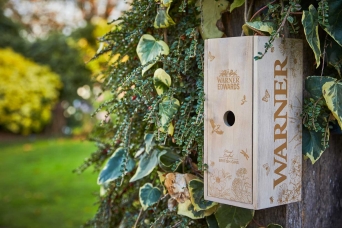 Progress Packaging Wooden Bird Box Insect Hotel Drinks Gin Spirits Liquor Fsc Approved Recycled Biodegradable Reusable Upcycling Responsibly Sourced Eco Friendly Environmentally Friendly 5