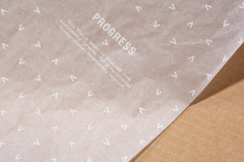 Progress Packaging Packing Tissue Recyclable Box Paper Protective Branded Eco Friendly Printed Retail Shipping E Commerce Durable Custom Made Bespoke Carton 2