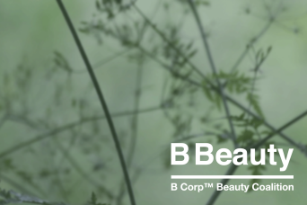 B Corp Beauty Logo Progress Packaging 4
