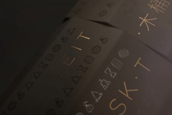 Puzzlecask Hero Animation V1 (1080p)