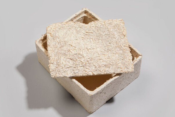 Mushroom Packaging Plastic Alternative Fungi Material Biodegradable