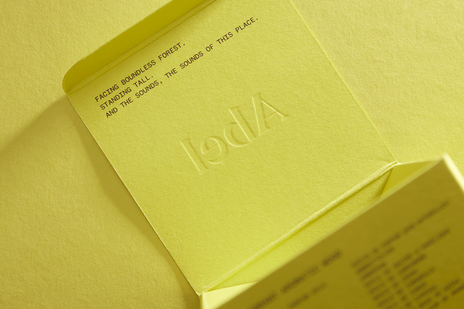 Detail of bespoke paper fragrance packaging showing custom colour, emboss and carton construction.