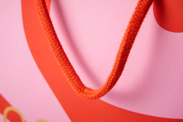 Custom paper carrier bag with rope handles, bespoke packaging printing and production by Progress