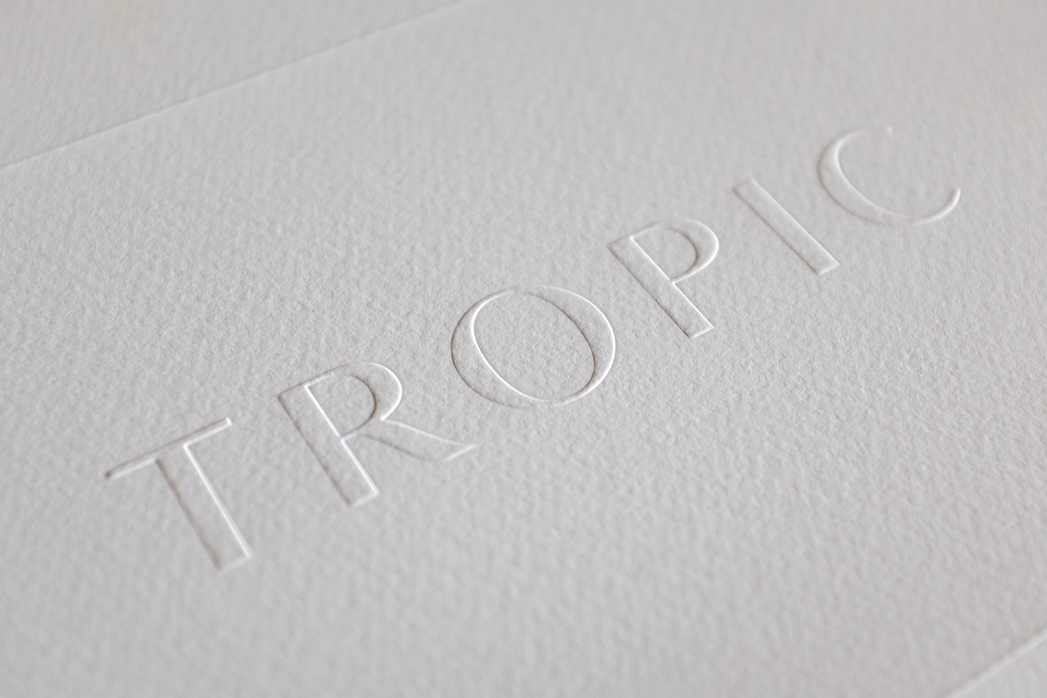 Influencer Packaging Beauty Skin Care Tropic Blind Embossed Logo 04